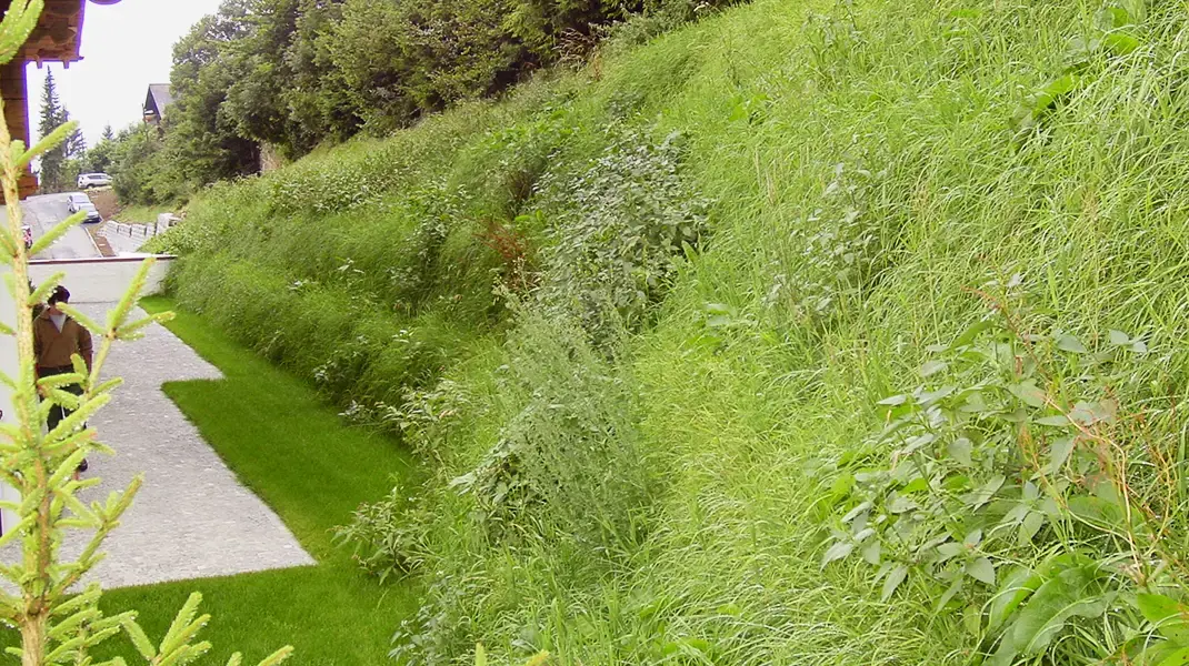 Böschung steil mit Termursicherung bereits mit Gras überwachsen